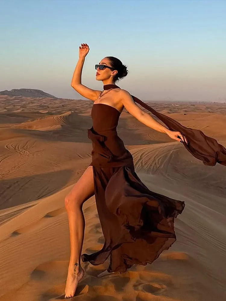The Ultimate Heneso Strapless Mesh Brown Maxi Dress